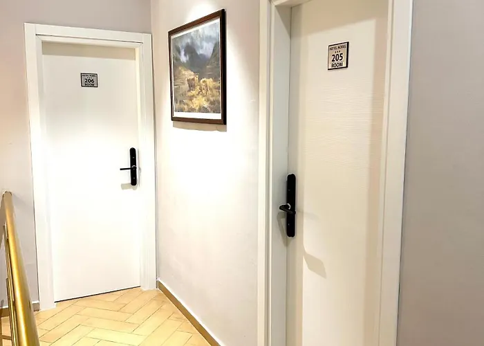 Nobel Center 3* 地拉那